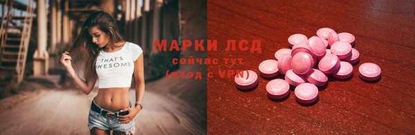 ПСИЛОЦИБИНОВЫЕ ГРИБЫ Вяземский