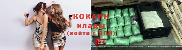 ПСИЛОЦИБИНОВЫЕ ГРИБЫ Вяземский