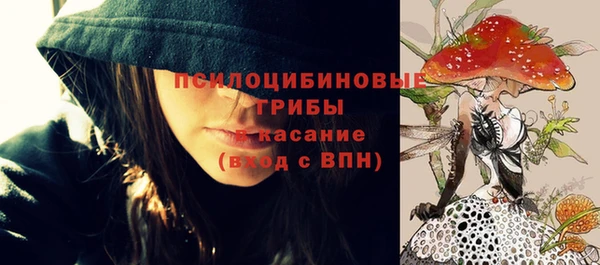 ПСИЛОЦИБИНОВЫЕ ГРИБЫ Вяземский