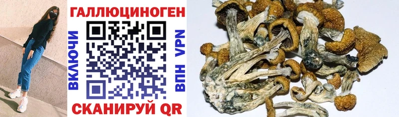 Псилоцибиновые грибы MAGIC MUSHROOMS  ссылка на мегу онион  Первоуральск 